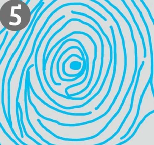 Người có vân tay tròn (hoa tay) ở ngón cái và ngón đeo nhẫn khá vất vả khi còn trẻ nhưng đến đến tuổi trung niên thì tài năng tỏa sáng, mâu thuẫn gia đình giảm bớt.