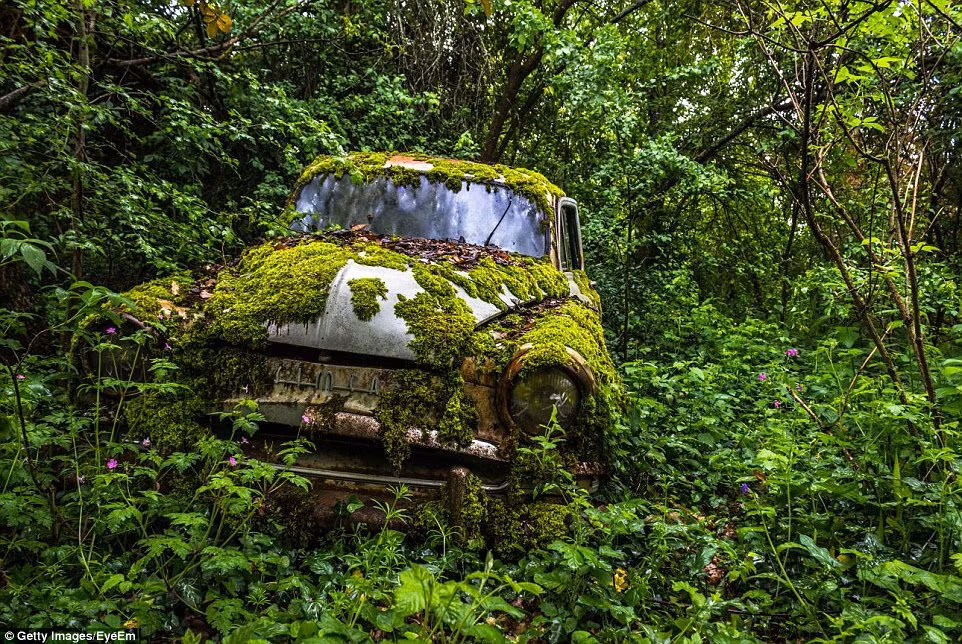 Nhiếp ảnh gia người Pháp Antoine Jacquiaux chụp được bức ảnh một chiếc ô tô bị thiên nhiên "nuốt chửng".