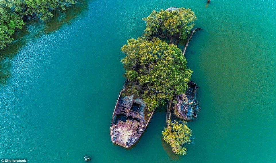 Xác tàu SS Ayrfield "yên nghỉ" ở Homebush , phía Tây Sydney. Nơi đây trở thành địa điểm bỏ hoang nổi tiếng, hấp dẫn nhiều du khách, nhiếp ảnh gia ghé thăm.