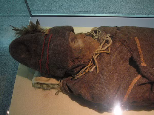 Vào đầu thế kỷ 20, các nhà thám hiểm châu Âu gồm: Sven Hedin, Albert von Le Coq và Sir Aurel Stein đã tìm thấy những xác ướp Tarim trong quá trình tìm kiếm cổ vật châu Á.