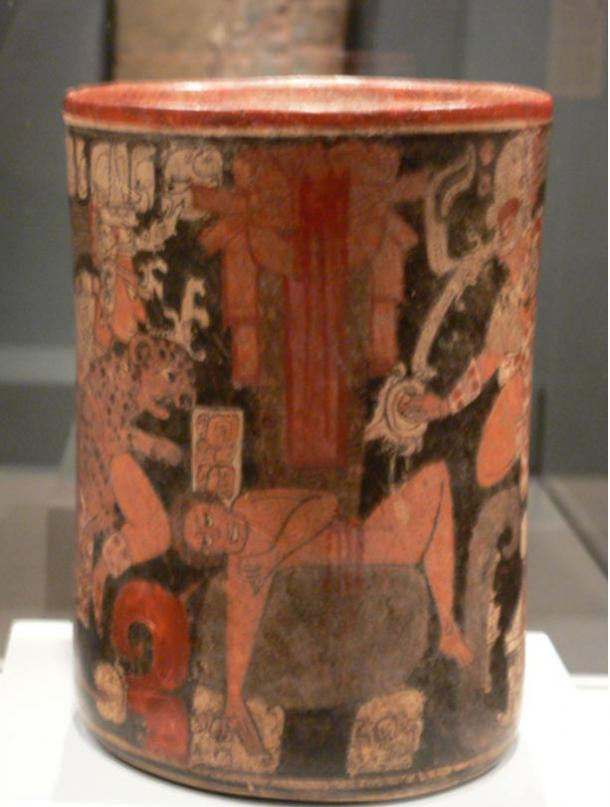 Thêm nữa, việc tìm thấy xác của những con vật trên trong mộ cổ của người Maya cho thấy đây là bằng chứng về việc người xưa thuần hóa động vật có kích thước lớn.