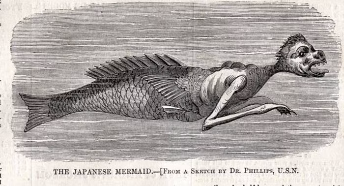 Cụ thể, nàng tiên cá của Nhật Bản được mô tả có nửa thân trên của một con khỉ và nửa thân dưới của một con cá.