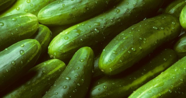 Vào thời cổ đại, đế chế La Mã coi dưa chuột mang sức mạnh "thần thánh". Cụ thể, theo Pliny the Elder, người La Mã quan niệm dưa chuột có khả năng thúc đẩy khả năng sinh sản.