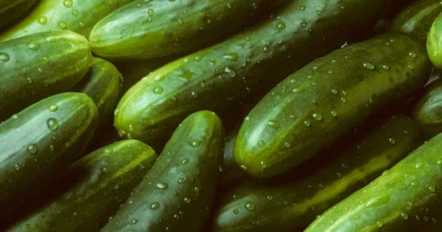 Vào thời cổ đại, đế chế La Mã coi dưa chuột mang sức mạnh "thần thánh". Cụ thể, theo Pliny the Elder, người La Mã quan niệm dưa chuột có khả năng thúc đẩy khả năng sinh sản.