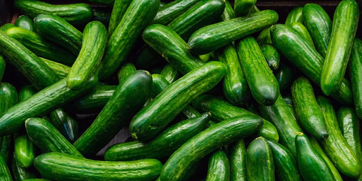 Tại Rome thời cổ đại, dưa chuột còn được sử dụng để chữa thị lực kém, chữa vết cắn của bọ cạp.