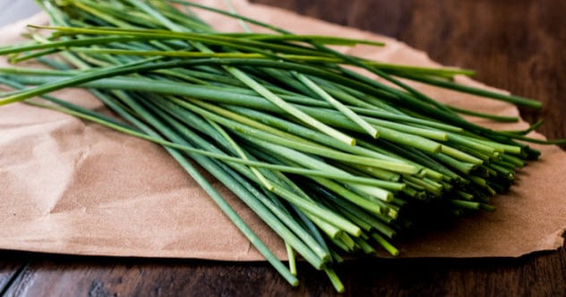 Cây hẹ khá phổ biến trong đời sống hàng ngày. Tuy nhiên, chúng được người xưa tìn rằng có khả năng "thần thánh". Cụ thể, người La Mã cổ đại cho rằng việc ăn hẹ giúp họ đạt được sức mạnh lớn hơn so với người khác.