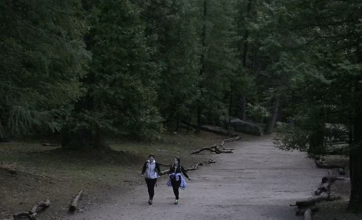 Cung đường mòn đi bộ đường dài tại Công viên quốc gia Yosemite còn xảy ra một số vụ mất tích khác. Tuy nhiên, tất cả trường hợp đều không được tìm thấy. Không ai rõ tung tích của các nạn nhân.