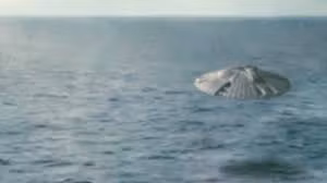 Ví dụ như vào giữa thập niên 70 của thế kỷ 20, nhiều tàu ngầm hạt nhân phát hiện những âm thanh lạ tại vùng biển Đại Tây Dương.