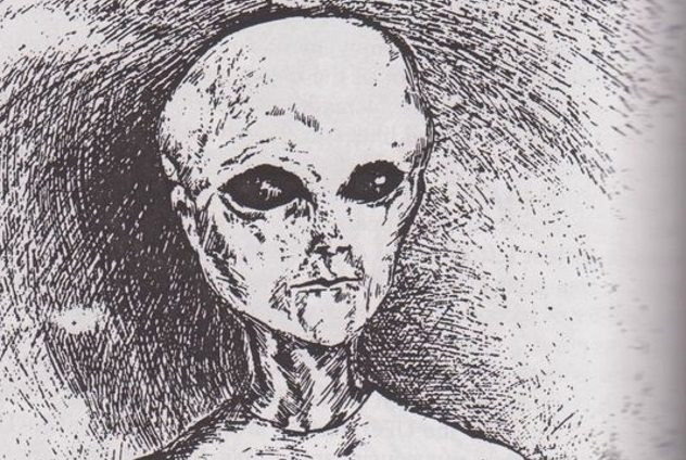 Trước vụ việc này, một số người tin vào sự tồn tại của người ngoài hành tinh nhận định quả cầu lửa trên được tạo thành do xảy ra sự cố rơi UFO.