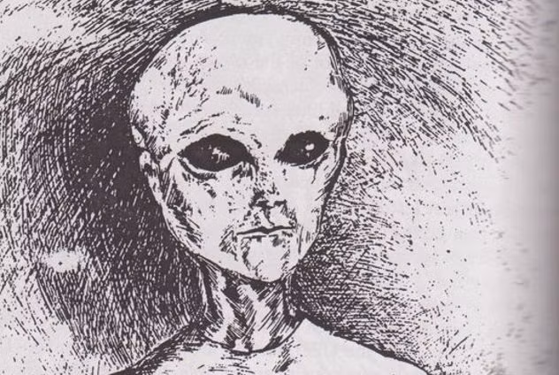 Trước vụ việc này, một số người tin vào sự tồn tại của người ngoài hành tinh nhận định quả cầu lửa trên được tạo thành do xảy ra sự cố rơi UFO.