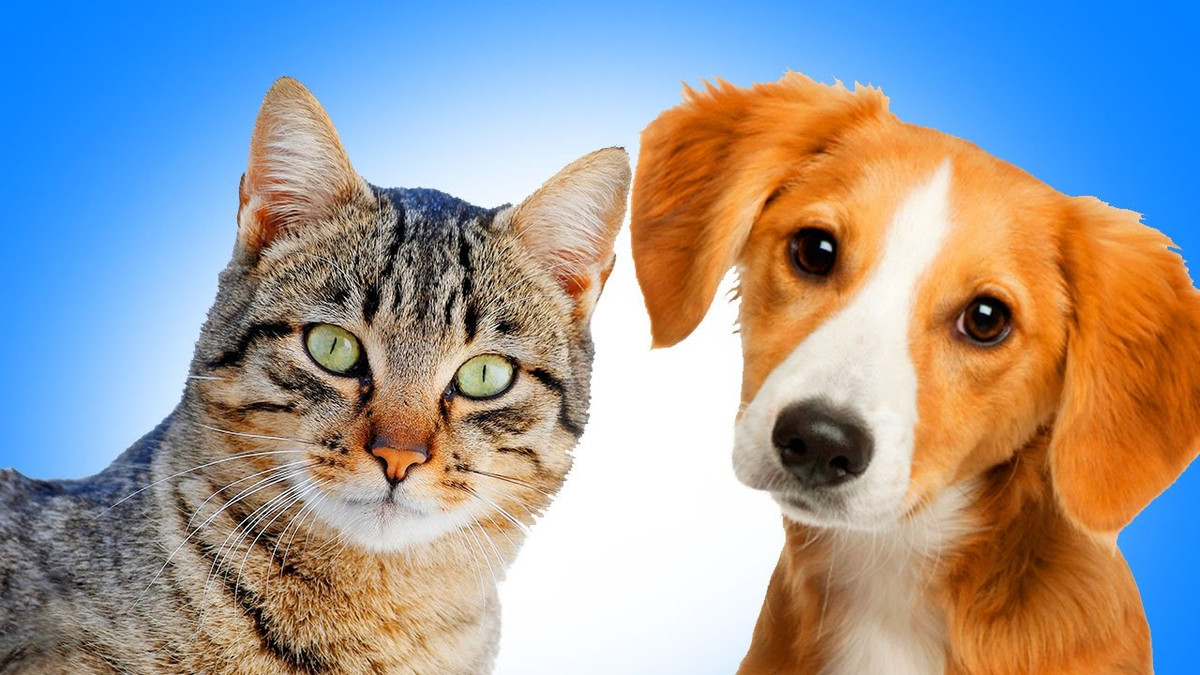 Liên quan đến chủ đề này, các nhà khoa học cũng vào cuộc tìm hiểu. Tuy nhiên, cho đến nay, họ vẫn chưa thể tìm được những bằng chứng khoa học chứng minh hồn ma có thật.