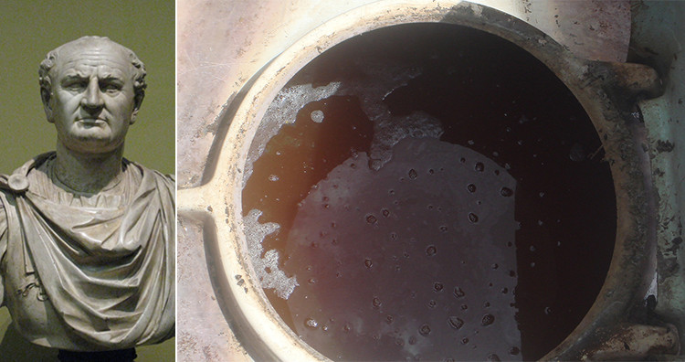 Thấy vậy, hoàng đế Vespasian nói với con trai rằng, việc thu thuế nước tiểu thông qua nhà vệ sinh chẳng có vấn đề gì cả vì kiếm được bộn tiền.