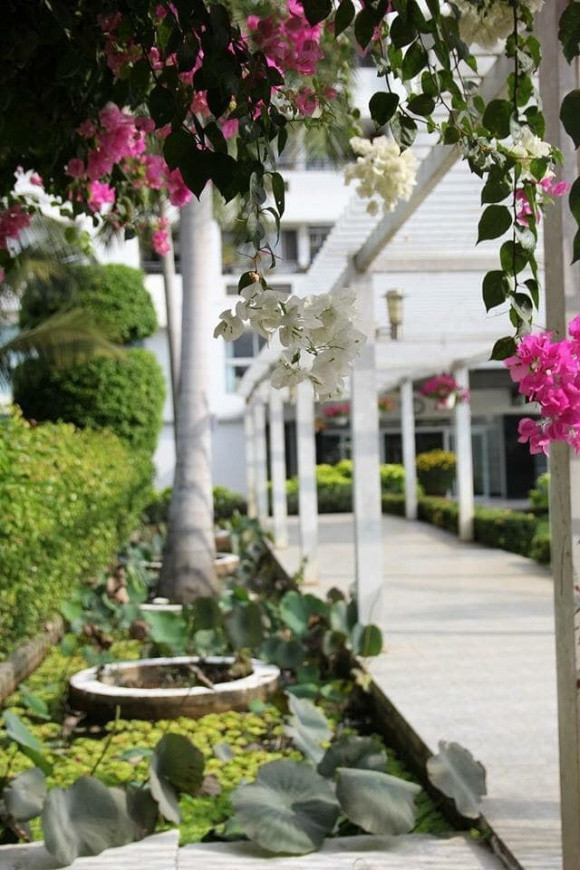 Buổi sáng bước xuống sân tập thể dục và buổi tối đi diễn về dạo bước trên những lối nhỏ quanh co hoặc ngồi trên ghế đá nhìn ra bờ sông hóng gió luôn là những khoảnh khắc Nghĩa thích nhất bởi sự bình yên nơi đây.