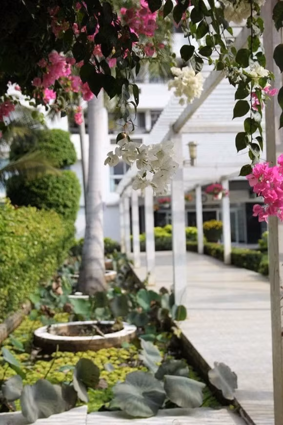 Buổi sáng bước xuống sân tập thể dục và buổi tối đi diễn về dạo bước trên những lối nhỏ quanh co hoặc ngồi trên ghế đá nhìn ra bờ sông hóng gió luôn là những khoảnh khắc Nghĩa thích nhất bởi sự bình yên nơi đây.