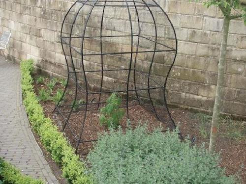 Thoạt nhìn, khu vườn này xanh mướt như bao khu vườn khác trên thế giới.