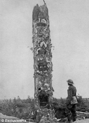 Cây giả được thiết kế y như thật và có thể chứa vừa một người lính ở bên trong để có thể quan sát động tĩnh của quân địch. Sự thật này khiến nhiều người cảm thấy thú vị.