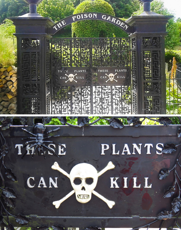 Khu vườn nằm trong khuôn viên lâu đài Alnwick ở Anh nổi tiếng thế giới với hơn 100 loài cây nguy hiểm nhất thế giới.