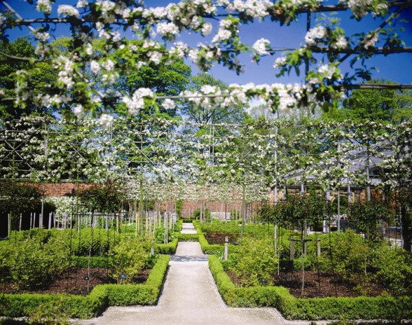 Tuy nhiên, sự thật gây sốc là khu vườn trồng những loài cây độc có thể gây nguy hiểm đến tính mạng con người. Vì vậy, những cây đặc biệt nguy hiểm được ngăn với bên ngoài bằng hàng rào sắt và có người canh giữ.