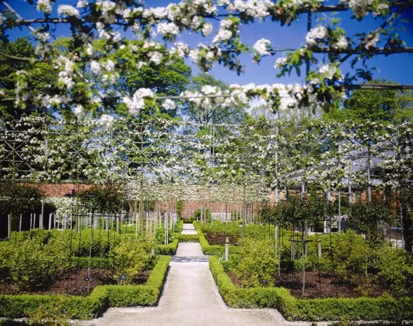 Tuy nhiên, sự thật gây sốc là khu vườn trồng những loài cây độc có thể gây nguy hiểm đến tính mạng con người. Vì vậy, những cây đặc biệt nguy hiểm được ngăn với bên ngoài bằng hàng rào sắt và có người canh giữ.