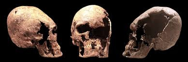 Làm dài hộp sọ là việc làm không hề dễ dàng nên người Patagonia đã thể hiện được bản thân là những người đáng tin cậy khi kết bạn với những bộ tộc khác.