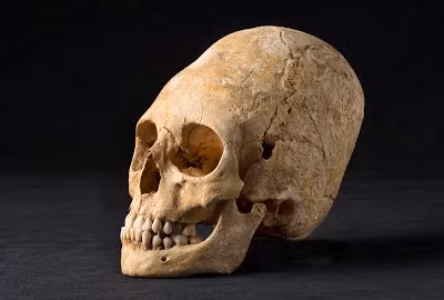 Nhờ vậy, người Patagonia mở rộng quan hệ với những bộ lạc sống ở các khu vực xung quanh và có sự phát triển.