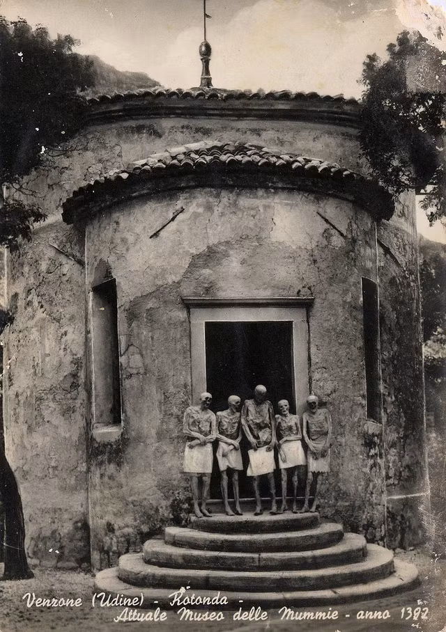 Ông Brazza tin rằng, Hypha tombicina - một loại nấm ký sinh có thể liên tục khử nước bên trong thi thể giúp ngăn chặn lại quá trình phân hủy thi hài.