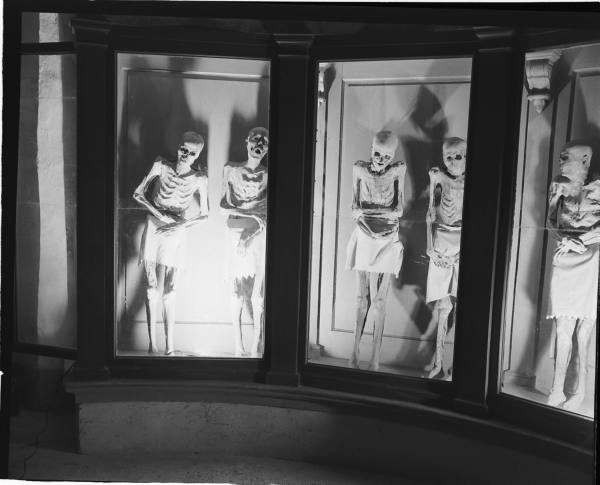 Não bộ chỉ còn trọng lượng khoảng 1/3. Đa số trọng lượng của các thi hài được tìm thấy tại nhà thờ Saint Andrew nặng khoảng 10 - 20 kg. Nhiều chuyên gia nhận định những thi hài này được ướp xác tự nhiên.