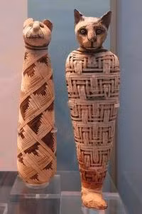 Thêm nữa, người Ai Cập thời xưa còn ướp xác những con mèo để chúng tiếp tục cuộc sống ở thế giới bên kia.