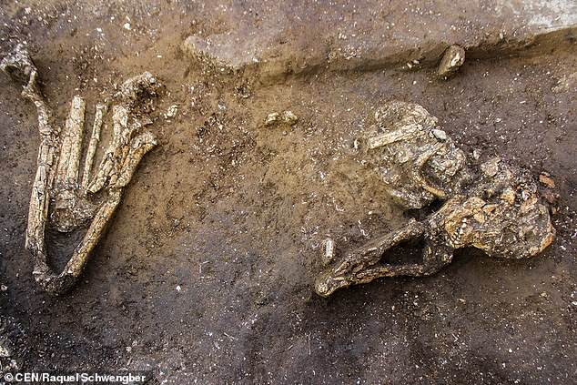 "Dữ liệu thu thập được cho thấy người cổ đại ở đây ăn cá như cá da trơn, cá hồng và cá bơn. Kích cỡ nhỏ của những loài cá này cho thấy nguồn cung cấp thực phẩm chính là cá non ở vùng nước nông", nhà khảo cổ Schwengber nói.