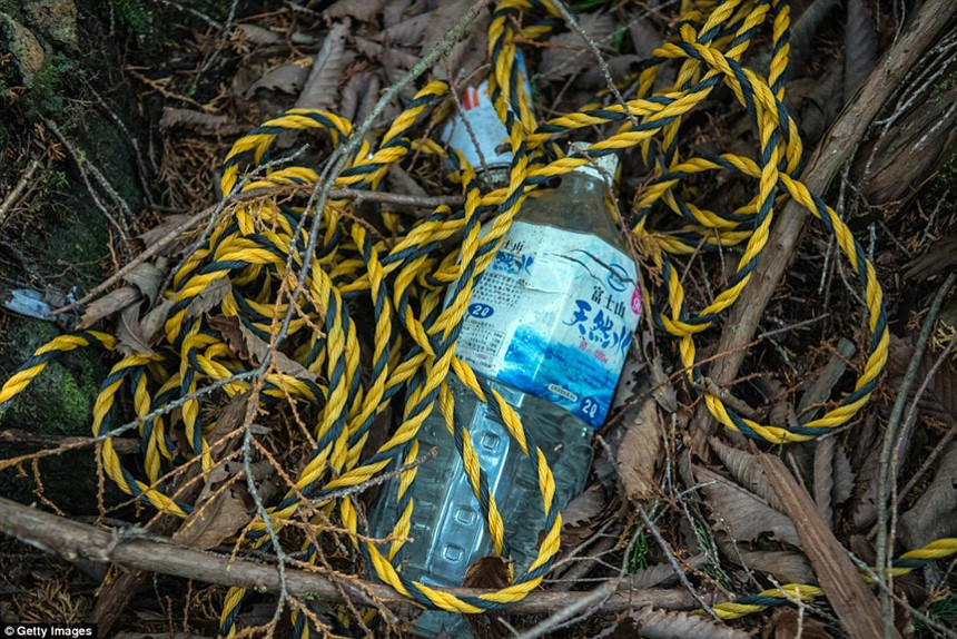 Hiện tại, chính phủ Nhật Bản cố gắng chấm dứt mối liên hệ giữa khu rừng và các vụ tự tử bằng cách không công bố số liệu chính xác vụ việc xảy ra hàng năm.