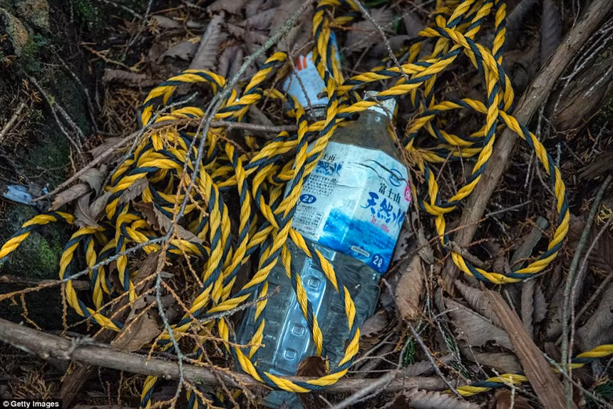 Hiện tại, chính phủ Nhật Bản cố gắng chấm dứt mối liên hệ giữa khu rừng và các vụ tự tử bằng cách không công bố số liệu chính xác vụ việc xảy ra hàng năm.