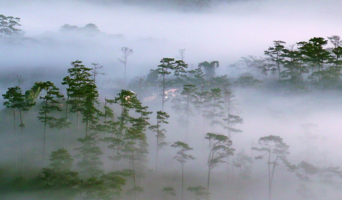 Do vậy, Anh đợi sau khi Chiến tranh thế giới 1 kết thúc sẽ yêu cầu Thổ Nhĩ Kỳ trao trả lại số binh sĩ mất tích trên. Tuy nhiên, khi Thế chiến 1 kết thúc, chính quyền Thổ Nhĩ Kỳ khẳng định chưa từng nhìn thấy hơn 800 binh sĩ của Anh cũng như không hề bắt giữ họ.