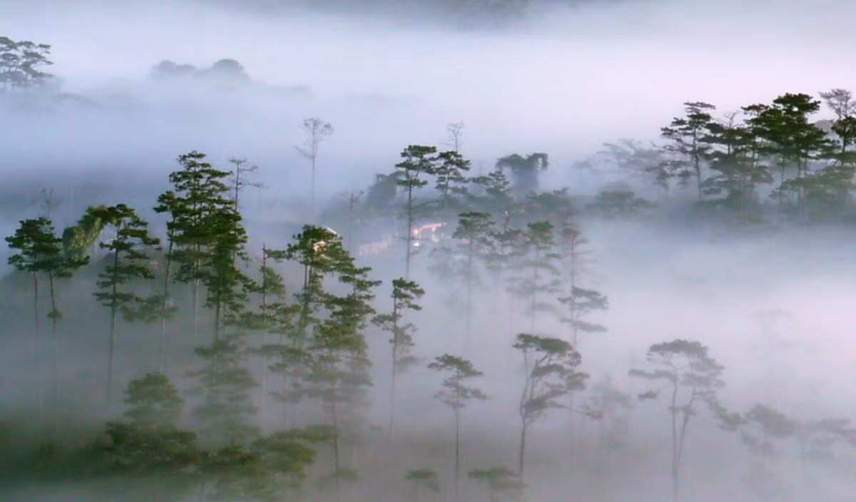 Do vậy, Anh đợi sau khi Chiến tranh thế giới 1 kết thúc sẽ yêu cầu Thổ Nhĩ Kỳ trao trả lại số binh sĩ mất tích trên. Tuy nhiên, khi Thế chiến 1 kết thúc, chính quyền Thổ Nhĩ Kỳ khẳng định chưa từng nhìn thấy hơn 800 binh sĩ của Anh cũng như không hề bắt giữ họ.