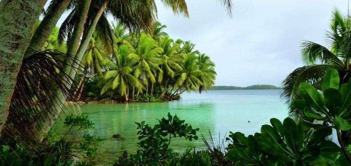 Tuy nhiên, lịch sử đảo Palmyra gắn liền với nhiều vụ đắm tàu xảy ra trong nhiều thế kỷ.