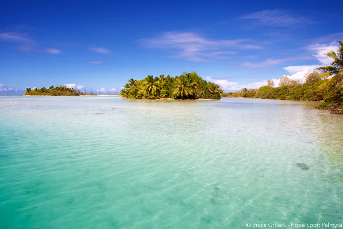 Sở dĩ người ta đưa ra giả thuyết này vì đảo Palmyra gắn liền với câu chuyện về kho báu bị linh hồn các thủy thủ guyền rủa. Chính vì vậy, nơi đây mới xảy ra những sự việc kỳ lạ, bí ẩn và mãi không tìm ra lời giải.