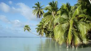 Kỳ lạ hơn, không ít người từng đặt chân đến hòn đảo Palmyra có cảm giác bất an hoặc nhìn thấy những ánh sáng kỳ lạ đột nhiên xuất hiện rồi biến mất.