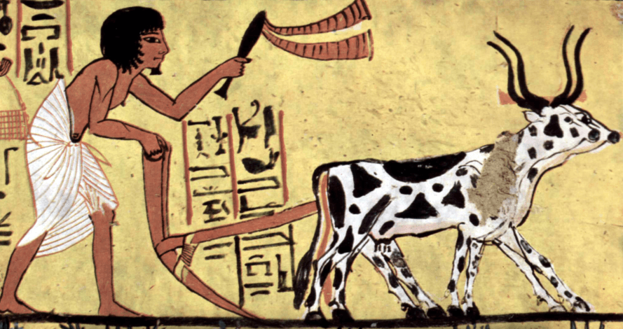 Người Ai Cập thời cổ đại được xem là đã thực hiện việc chăm sóc sức khỏe cộng đồng từ khá sớm. Các chuyên gia đã tìm được bằng chứng về việc những người thợ thủ công sống vào thế kỷ 12 trước Công nguyên làm công việc xây lăng mộ cho pharaoh có thể nghỉ 1 ngày khi đau ốm hoặc được khám bệnh miễn phí.