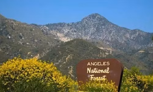 Rừng quốc gia Angeles rộng hơn 2.500 km2 là khu rừng ở Mỹ xảy ra một số vụ trẻ em mất tích bí ẩn. Cho đến nay, giới chức trách vẫn chưa tìm ra câu trả lời cho những vụ án này.
