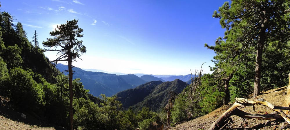 Trong số những đứa trẻ của hai gia đình trong chuyến đi ấy, Tommy Bowman, 8 tuổi, quyết định chạy phía trước khi đi trên một con đường mòn.