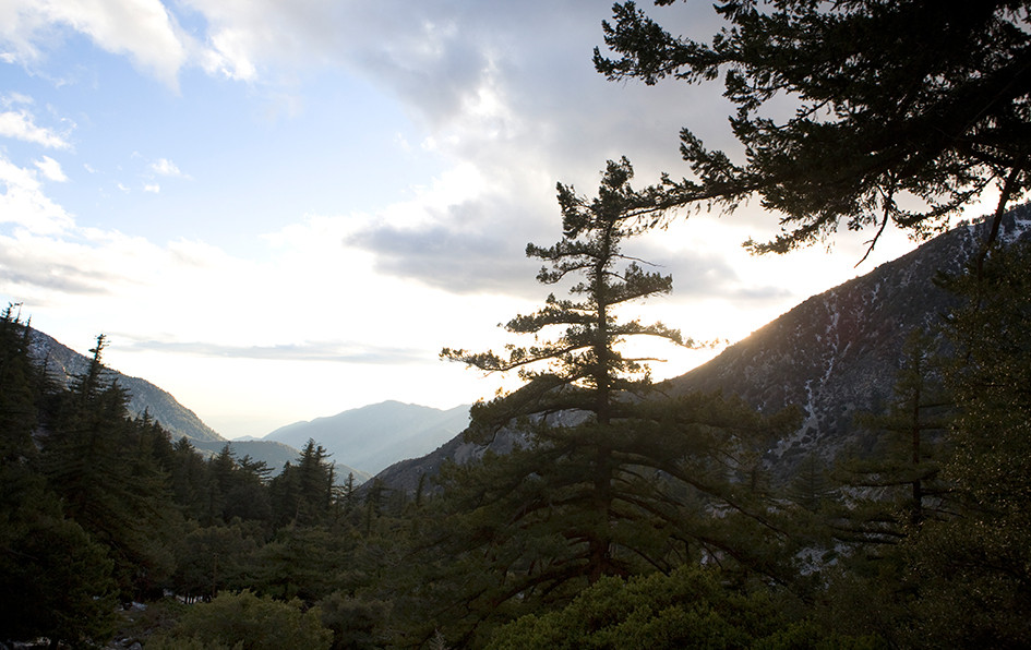 Người ta nghi ngờ rằng tội phạm tình dục Mack Ray Edwards có thể có liên quan đến một số vụ mất tích trên. Thậm chí, Edwards gây sốc dư luận khi từng thú nhận đã giết Brenda Howell và Donald Baker.