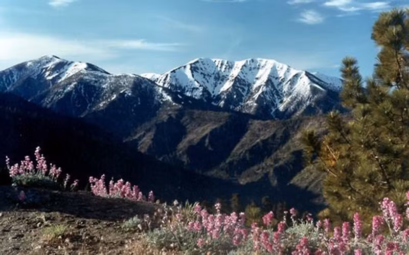 Năm 1957, hai anh em vợ mang theo con cái đến leo núi trong khuôn viên rừng quốc gia Angeles.