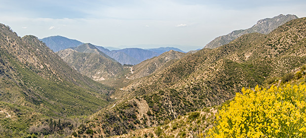 Trong quá trình tìm kiếm, người ta chỉ tìm thấy 2 chiếc xe đạp và áo khoác của Baker. Tung tích của 2 đứa trẻ trên chưa bao giờ được làm sáng tỏ.