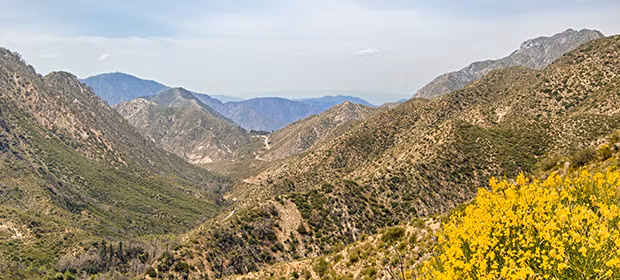 Trong quá trình tìm kiếm, người ta chỉ tìm thấy 2 chiếc xe đạp và áo khoác của Baker. Tung tích của 2 đứa trẻ trên chưa bao giờ được làm sáng tỏ.