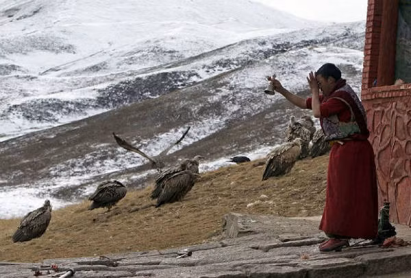 Ngược lại, kiểu thiên táng long trọng diễn ra với nhiều nghi thức. Cụ thể, các Lạt Ma sẽ cầu nguyện cho người chết được đặt ở tư thế ngồi suốt 24 giờ.