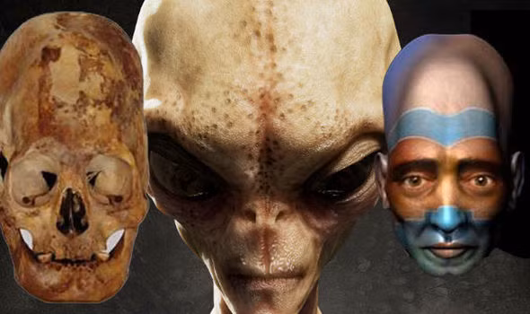 Trước bí ẩn này, một số người đưa ra giả thuyết những hộp sọ kỳ lạ trên thuộc về người ngoài hành tinh. Tuy nhiên, đây chỉ là giả thuyết chưa được chứng minh.