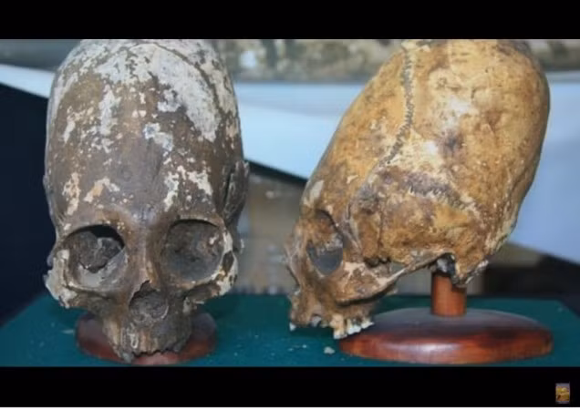 Vì vậy, cho đến nay, các chuyên gia, nhà khoa học mãi vẫn chưa thể giải mã được bí ẩn về những hộp sọ Paracas nằm ở đâu trong sơ đồ tiến hóa của loài người.