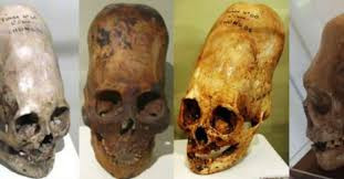 Theo các nhà khoa học, sự đột biết này là bằng chứng về việc người Paracas là một chủng sinh vật giống người nhưng hoàn toàn khác với những chủng người mà chúng ta biết đến như Homo sapiens, Neanderthals hay Denisovans. Với kết quả nghiên cứu này, những hộp sọ Paracas không thuộc chủng người nào mà chúng ta từng biết tới.