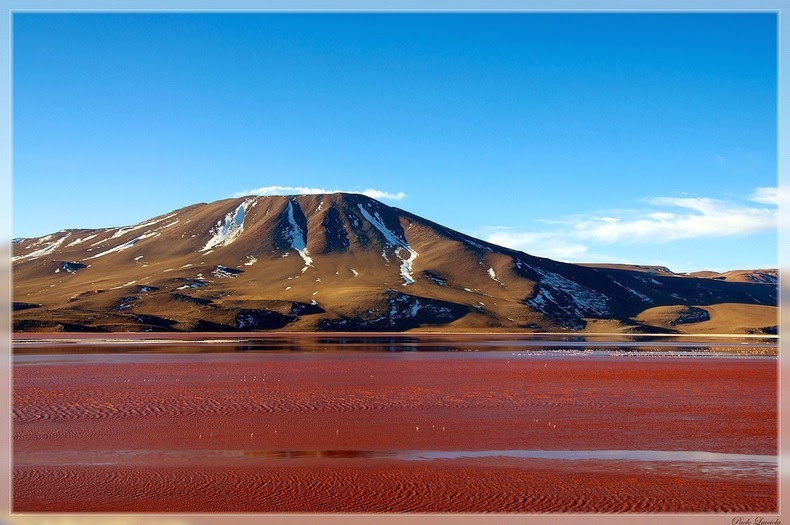 Nằm trong vườn dự trữ sinh quyển quốc gia Eduardo Avaroa Andean, Laguna Colorada hay còn gọi Red Lagoon là hồ nước đỏ rực như máu hấp dẫn khách du lịch của Bolivia.