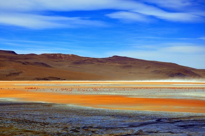 Các chuyên gia lý giải vì sao nước trong hồ Laguna Colorada có màu đỏ.