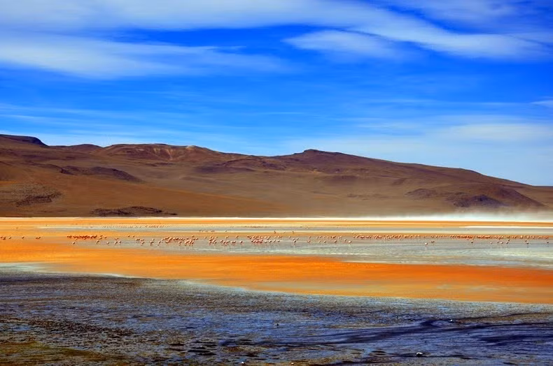 Các chuyên gia lý giải vì sao nước trong hồ Laguna Colorada có màu đỏ.